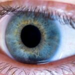 Eye and contact lens