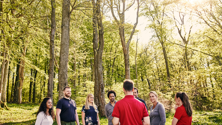 Quels sont les meilleurs lieux pour un team building au vert ?